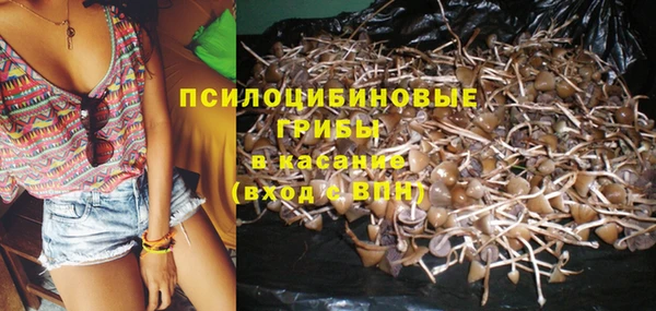 таблы Алзамай