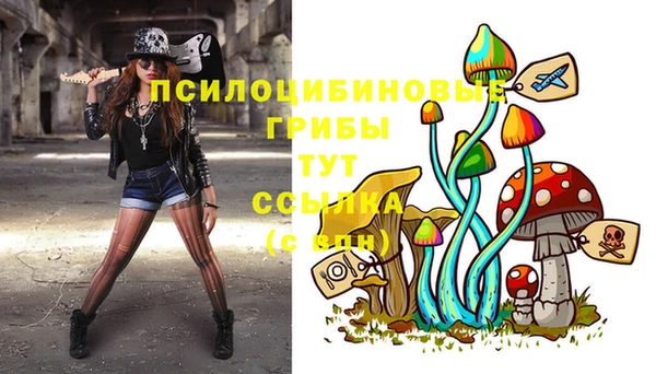 марки lsd Алексеевка